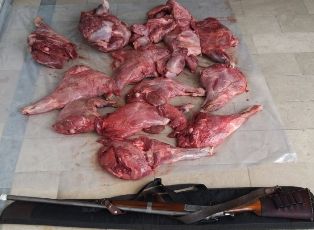 دستگیری شکارچیان غیرمجاز در آمل و ساری