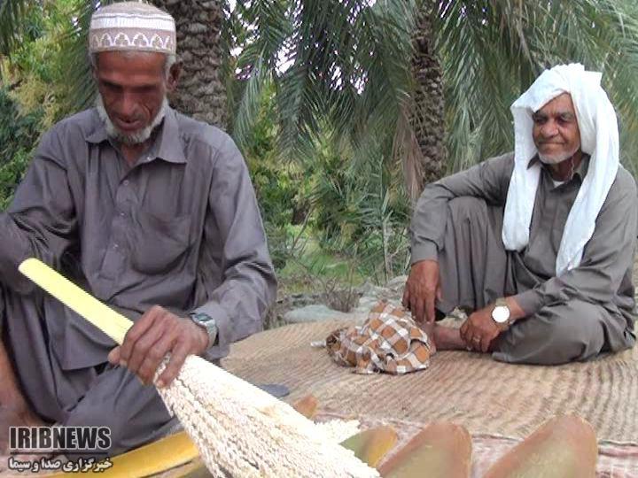 گرده افشانی درختان خرما در قصرقند