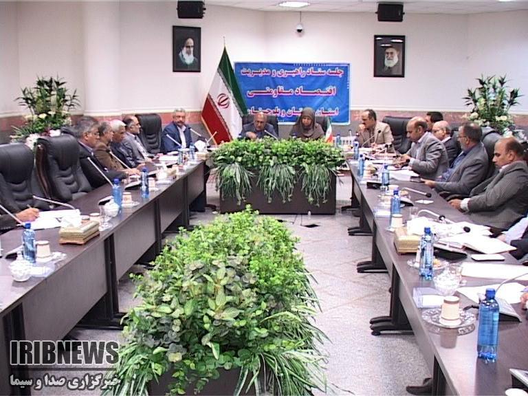 شتر و خرما، قابلیتی ارزشمند در راستای تحقق اقتصاد مقاومتی شتر و خرما، قابلیتی ارزشمند در راستای تحقق اقتصاد مقاومتی