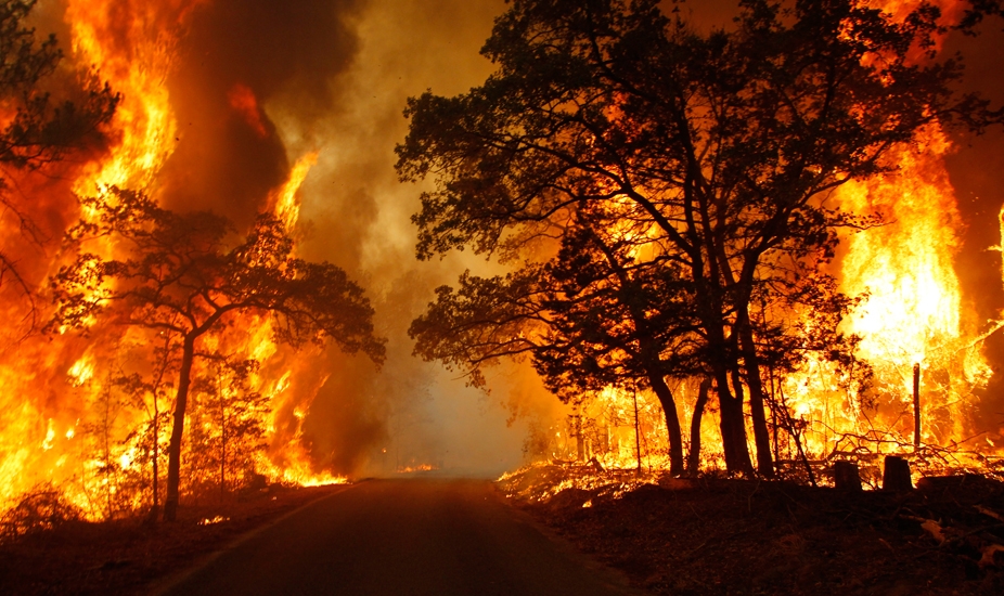 ممنوعیت روشن کردن آتش در عرصه‌های منابع طبیعی