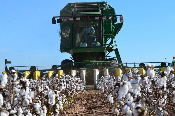 خودکفایی ایران در تولید کمباین های غوزه چینی خودکفایی ایران در تولید کمباین های غوزه چینی