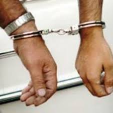 ناکامی قاچاقچیان چوب