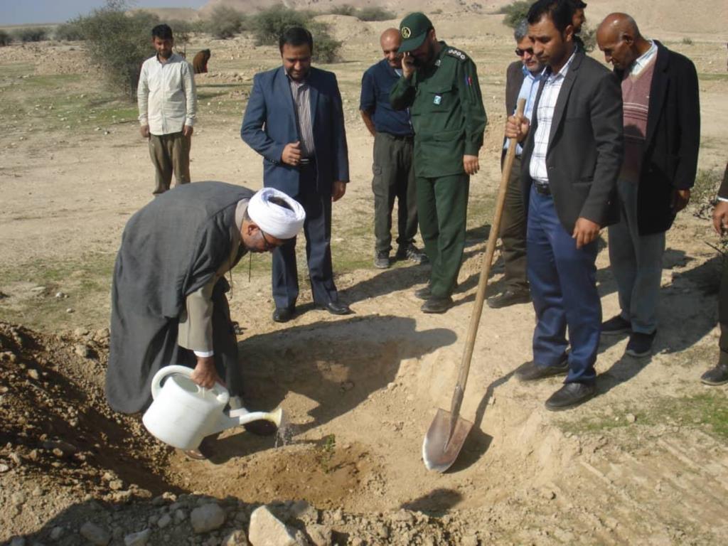 همزمان با اجرای سراسری طرح نهالکاری همگانی برای ایرانی سرسبز