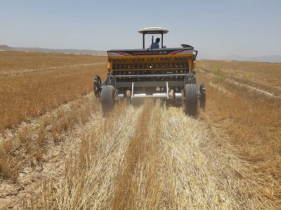 کشت پنبه با دستگاه کشت مستقیم کفکار در زرین دشت کشت پنبه با دستگاه کشت مستقیم کفکار در زرین دشت