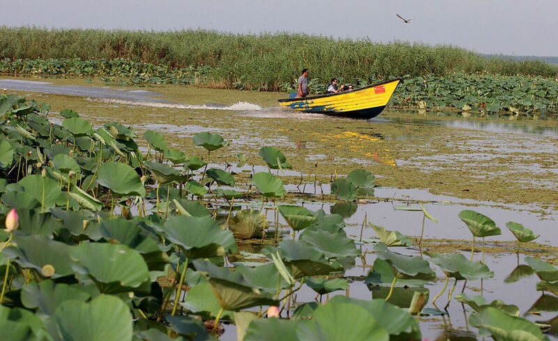 تاکید وزیر کشور بر ضرورت تسریع در فرآیند نجات تالاب انزلی تاکید وزیر کشور بر ضرورت تسریع در فرآیند نجات تالاب انزلی