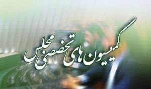 حضور سه وزیر جلسات نوبت عصر کمیسیون‌های مجلس