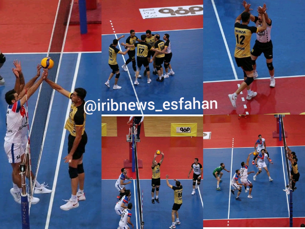 زردها، «لبنیات» خوردند