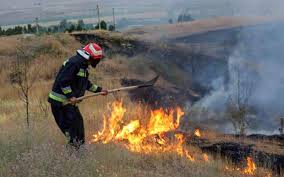 سیلی سرخ آتش سهل انگاری، دامن گیر ثروت ملی