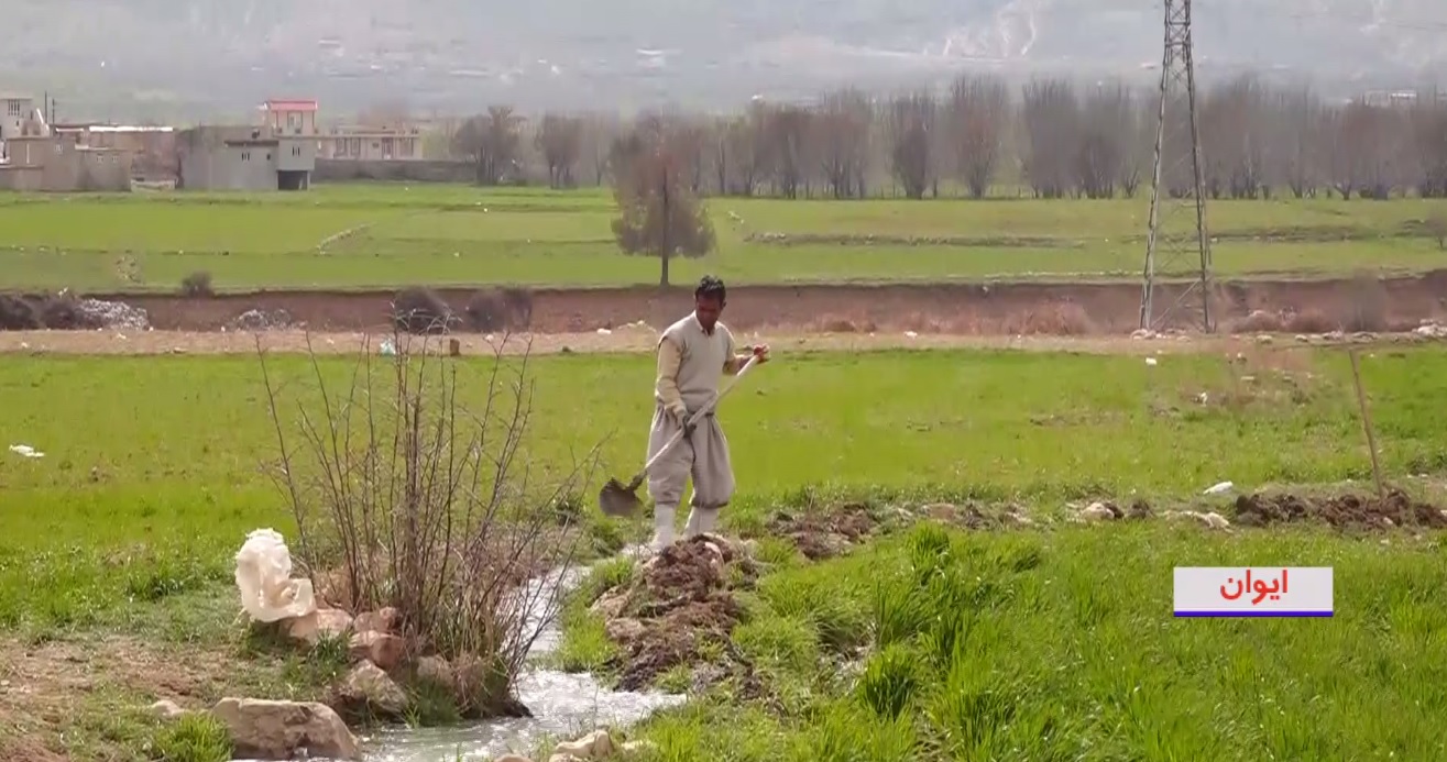 زمین های مرده ای که جانی دوباره گرفتند