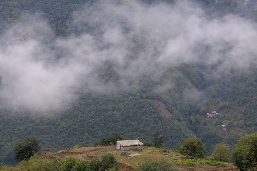 جنگل‌های دوهزار سه هزار چیست؟