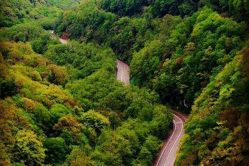 جنگل‌های دوهزار سه هزار چیست؟