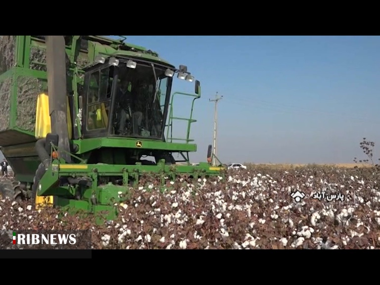 سه مرکز خرید توافقی پنبه در مغان ایجاد شد