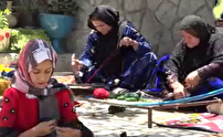 بانوان هنرمندی که هم نان آورند و هم نام آور