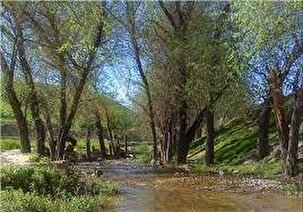 تصاویری از منطقه گردشگری لگین راک