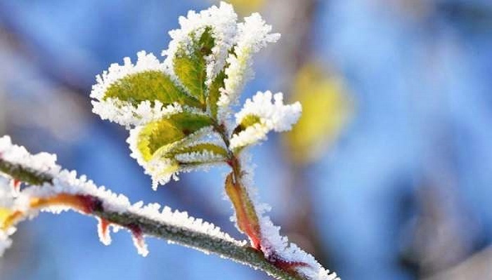 سرما و یخبندان مهمان زنجانی ها