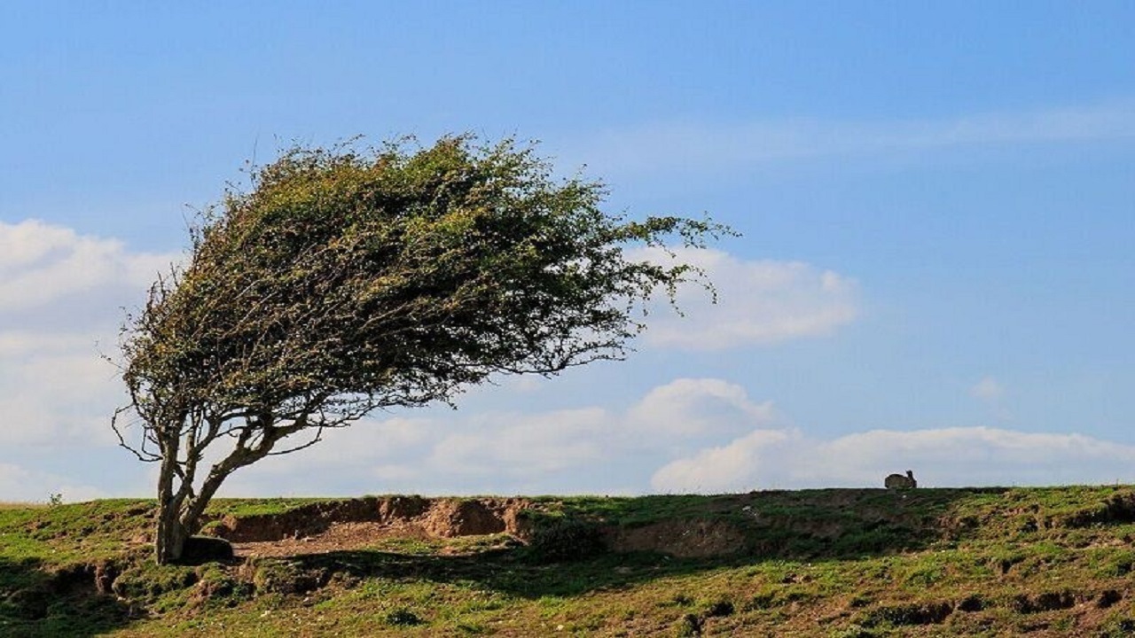 پیش بینی وزش باد شدید و‌ رگبار در البرز