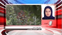 بارش پراکنده باران در برخی نقاط شمال غربی و غرب فارس