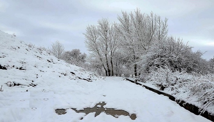 هواشناسی زنجان هشدار سطح نارنجی صادر کرد