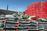 توزیع بیش از ۴۲هزار تن کود یارانه‌ای بین کشت و صنعت‌های خوزستان