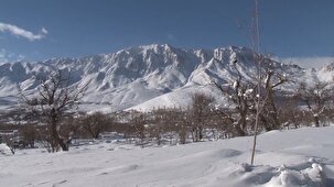 طبیعت برفی فریدونشهر