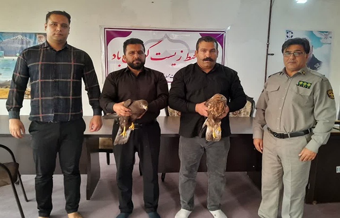 تحویل دو بهله سارگپه به محیط زیست شهرستان رومشکان تحویل دو بهله سارگپه به محیط زیست شهرستان رومشکان