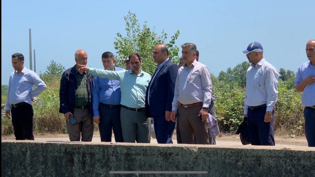 پاکسازی انهار لنگرود از سنبل آبی