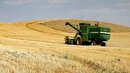 پرداخت ۴۱ درصد مبالغ خرید تضمینی گندم در سمنان