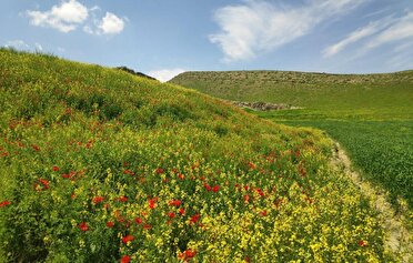 درخشش آفتاب تابستانی در سراسر گیلان