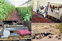 پرداخت میلیاردی تسهیلات اشتغالزا در استان مرکزی