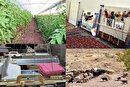 پرداخت میلیاردی تسهیلات اشتغالزا در استان مرکزی