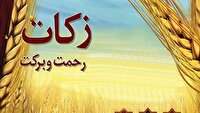 پیش بینی پرداخت ۸۰ میلیارد زکات در ساوه