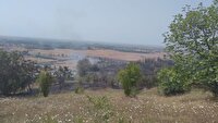 آتش‌سوزی در باغات انار روستای مهدیرجه گلوگاه مهار شد