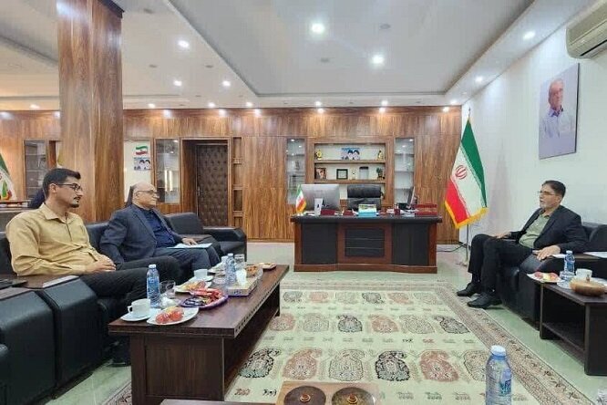 تقویت  توسعه فرآوری خرما با سرمایه‌گذاری‌های جدید