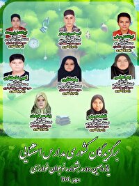 کسب ۸ رتبه برتر کشوری دانش آموزان با نیاز ویژه خراسان جنوبی