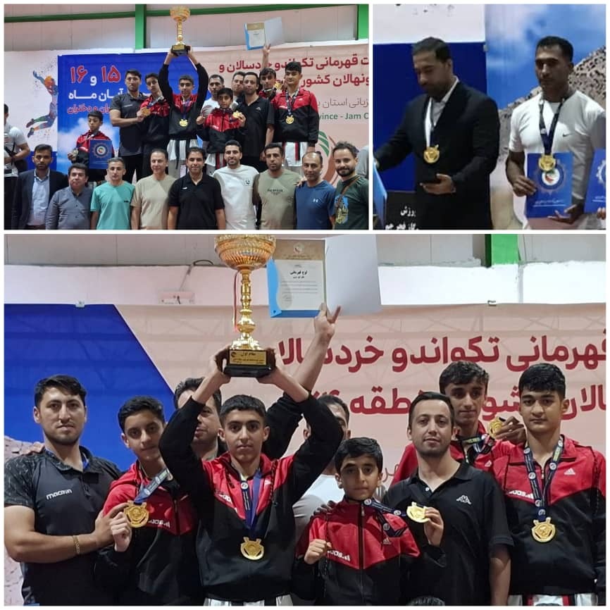 تکواندوکاران فارسی قهرمان رقابتهای منطقه ۴ کشور تکواندوکاران فارسی قهرمان رقابتهای منطقه ۴ کشور