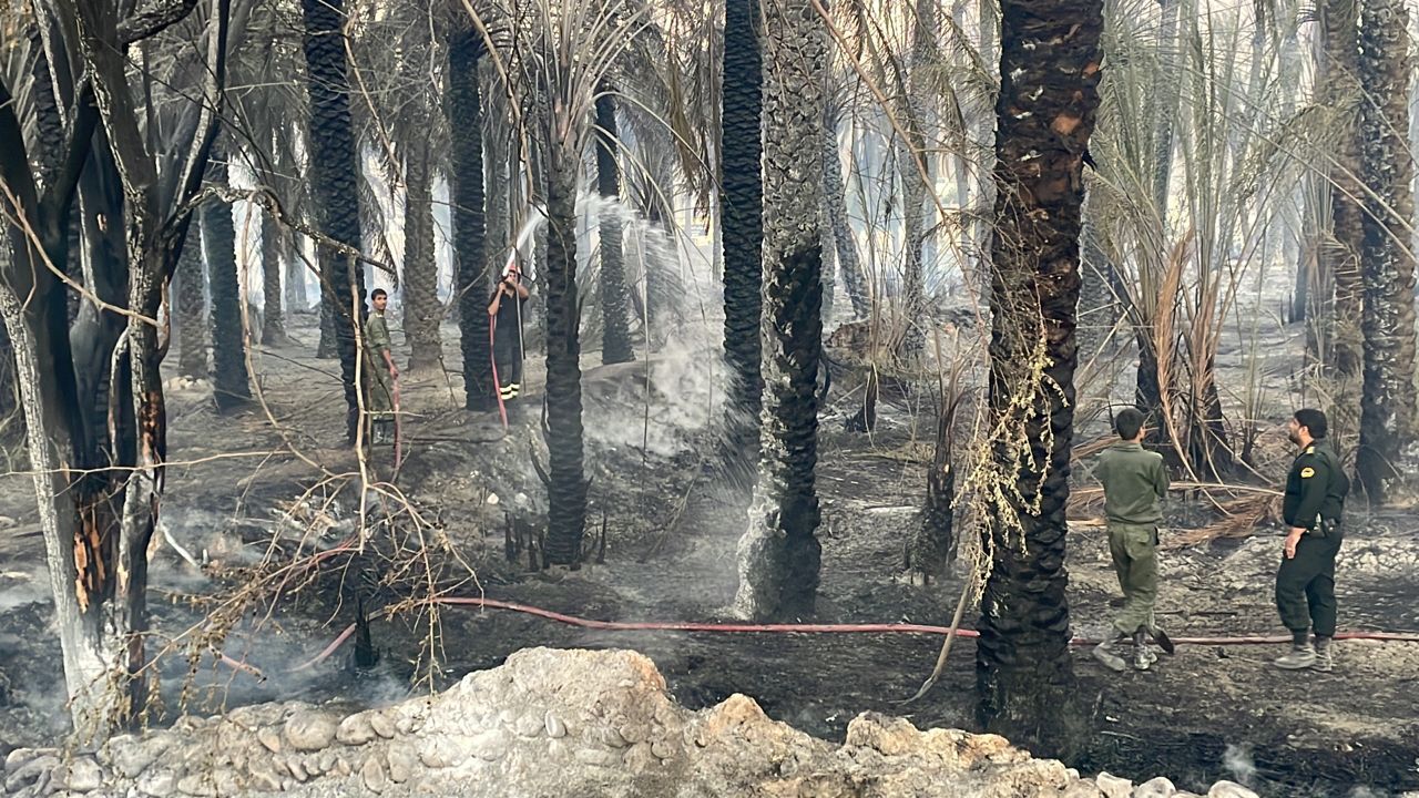 مهار آتش سوزی نخلستان‌های بندرعباس