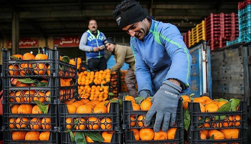 تشدید نظارتها بر بازار میوه و ترهبار زنجان تشدید نظارتها بر بازار میوه و ترهبار زنجان