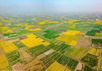 افزوده شدن ۲۱ هزارهکتاراز اراضی ملی به مستثنیات اشخاص
