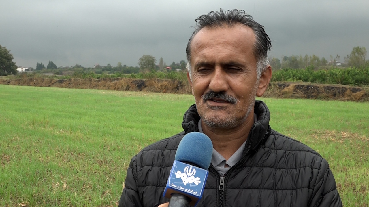 باران امید در مازندران باران امید در مازندران