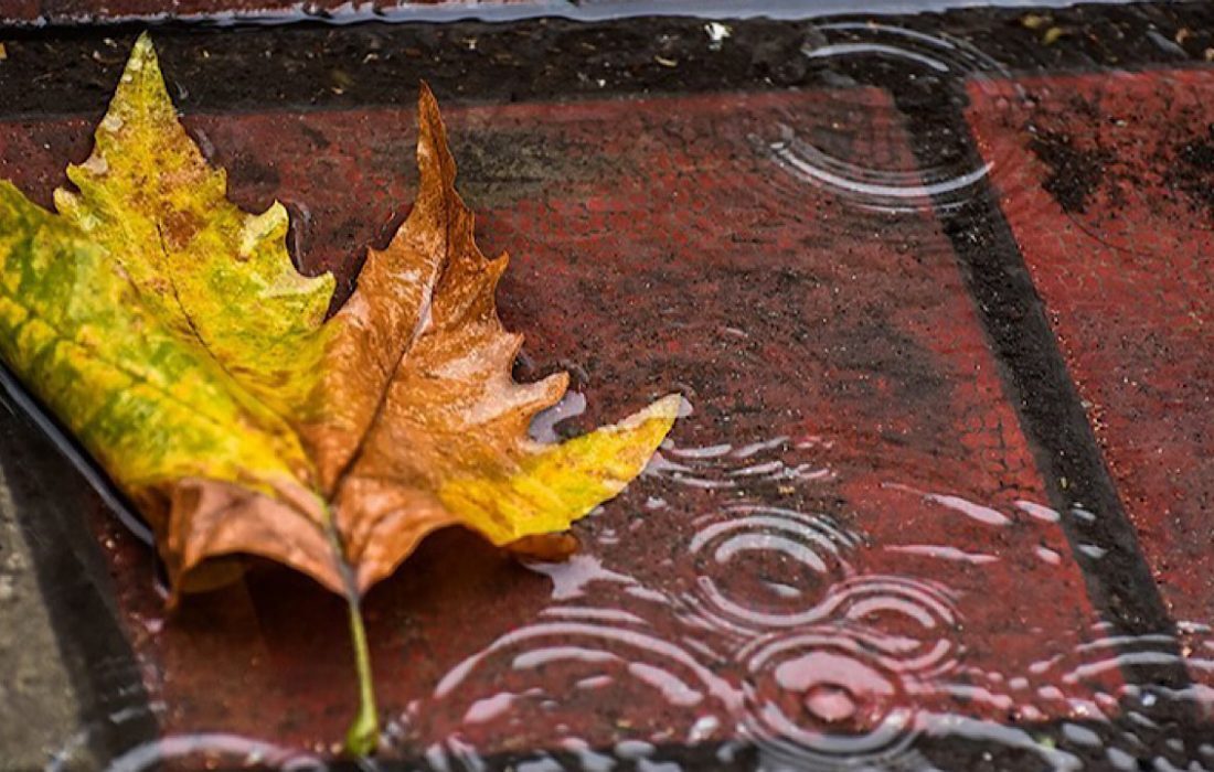 بارش‌های پراکنده در شمال کشور