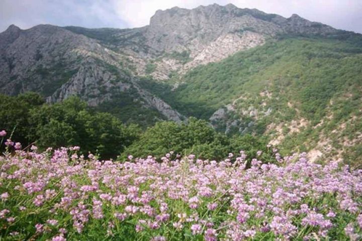 نگاهی به چند برنامه رادیویی