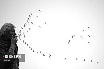 برترین آثار  عکاسی خیابانی ۲۰۲۵