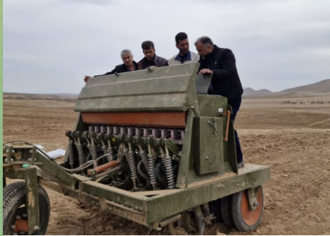 کشت مخلوط نخود علوفهای و جو در چهارمحال و بختیاری کشت مخلوط نخود علوفهای و جو در چهارمحال و بختیاری