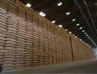 آغاز عرضه برنج پاکستانی در بازار خراسان رضوی  از ده روز آینده