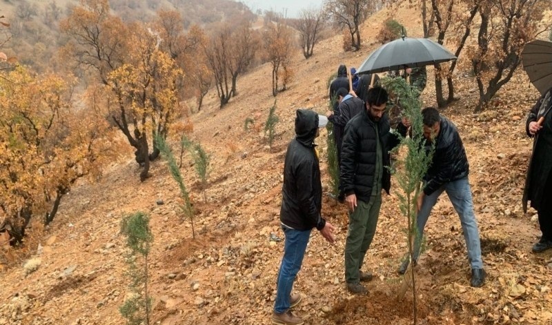 اجرای پویش نهالکاری در سایه مادر در یاسوج