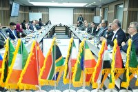 علوم شناختی و اعصاب در اولویت‌های همکاری تحقیقاتی کشور‌های عضوبریکس