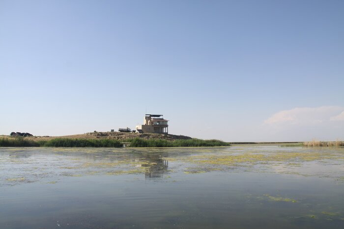 نزولات آسمانی حیات دوباره به تالاب کانی‌برازان مهاباد بخشید