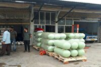 دوگانه سوز شدن ۱۱ هزار و ۵۰۰ خودرو در جنوب آذربایجان غربی