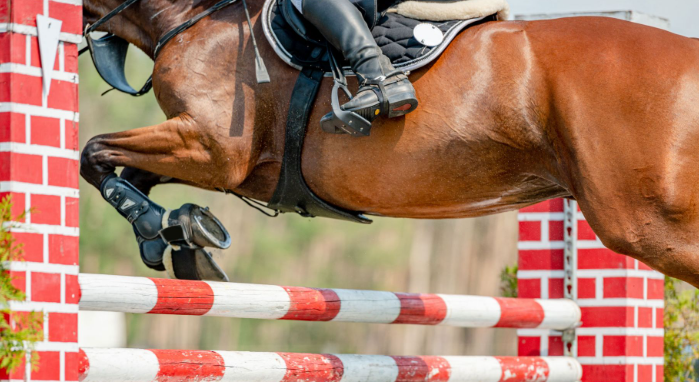 برگزاری مسابقات پرش با اسب جام تورماس (ششمین دوره جام بام) برگزاری مسابقات پرش با اسب جام تورماس (ششمین دوره جام بام)