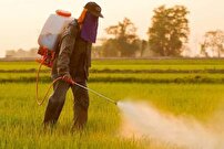 بررسی عملکرد و چالش‌های سازمان حفظ نباتات در مسیر امنیت غذایی
